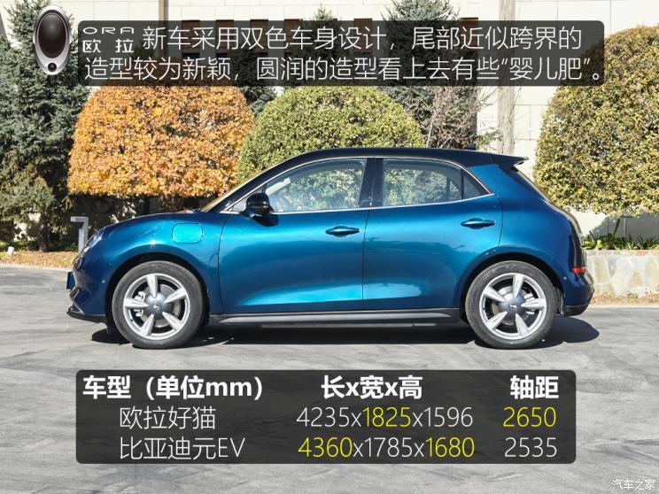 长城汽车 欧拉好猫 2021款 500km长续航 波塞冬版