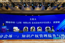 CAIPC2020 | 国际高峰论坛：氢能和燃料电池技术发展现状研讨