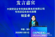 CAIPC2020 | 专商所钱亚卓：中美关系与在美知识产权保护