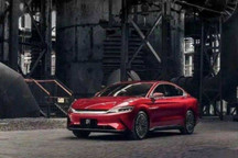 「斜杠车企」比亚迪：我全都要