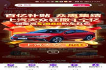 “双十一”电商卖车“内有乾坤”？