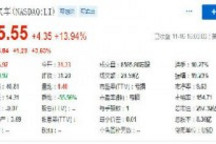 理想汽车股价周一收涨近14% 此前花旗银行上调其股票评级至买入