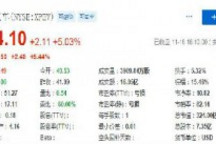 小鹏汽车股价周一收涨5% 此前花旗银行将其目标价上调至57.71美元
