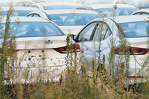 “僵尸车企”为何不死？