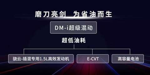 比亚迪,电池 比亚迪,电池