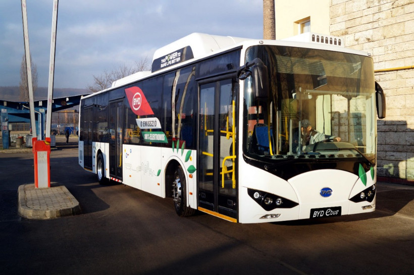 BYD поставил 246 электробусов в Нидерланды