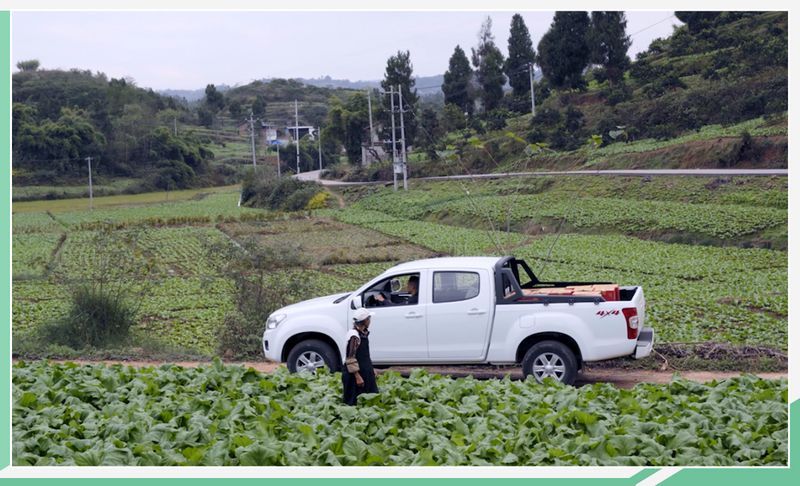 網(wǎng)通社汽車