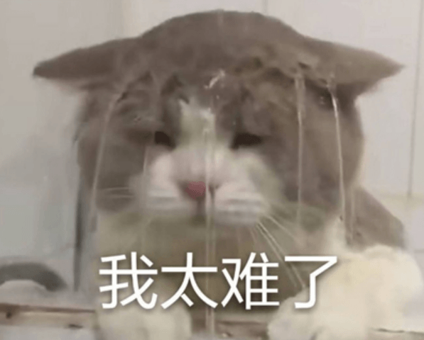 特斯拉，特斯拉建德國工廠,特斯拉市值