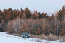 从天逸的表现看神龙复苏的希望