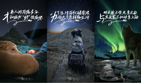 大狗,哈弗,大狗 大狗,哈弗,大狗