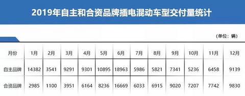 新能源汽车市场将变天，2020年最好卖的或是插混车