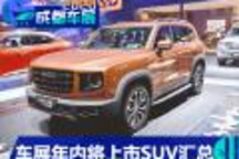 坦克300/大狗等 成都车展年内将上市SUV