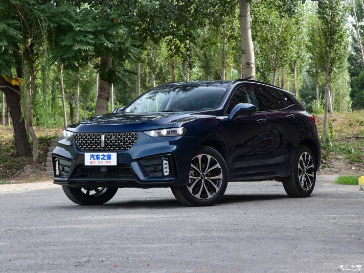 長(zhǎng)城汽車 WEY VV7 2021款 科技版