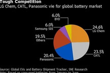 上半年超宁德时代， LG化学预计2025年营收翻番