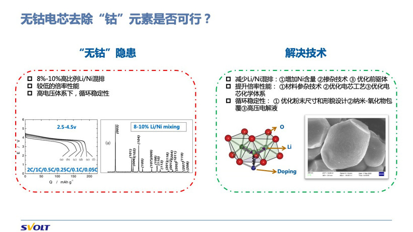 汽車藍皮書論壇，電池