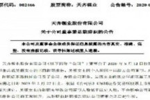 特斯拉供应商天齐锂业董事兼总裁吴薇因个人原因辞职