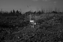 7月新能源销量：同比“回暖”之下，仍是满目疮痍