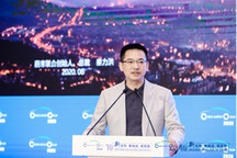 2020中国汽车论坛 | 秦力洪：新品牌的突围之路