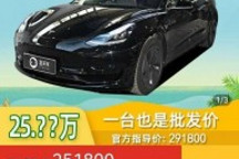 拒绝向拼多多团购车主交付Model 3？特斯拉：从未委托其他平台或商家进行销售活动
