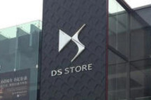14家经销商的“DS梦”