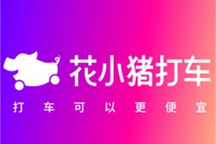 涉及资质问题 花小猪打车被多地叫停