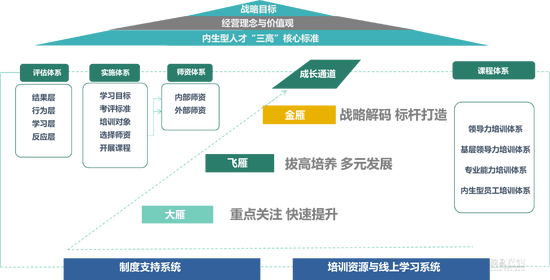 雁系列人才培养体系