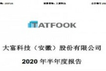 特斯拉供应商大富科技今年上半年营收和净利双双下降