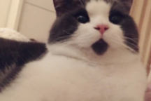 【一周车话】什么？卫士加价10万！