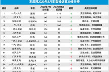 2020年8月国内汽车投诉排行及分析报告