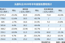 头部车企半年报密集发布 营收方式呈现差异化