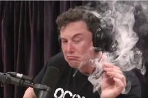 假如世界上没有4S店？