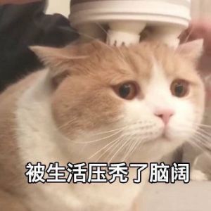 销量,上汽大众,一汽大众,上汽大众,汽车销量 销量,上汽大众,一汽大众,上汽大众,汽车销量