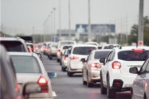 2020年预计增加约22.5万个燃油车指标