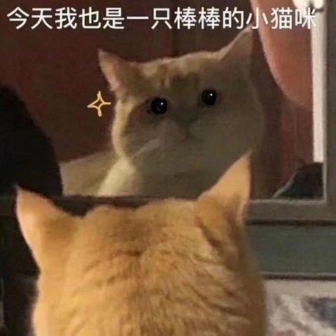 销量,8月汽车销量,东风汽车8月销量,东风日产8月销量 销量,8月汽车销量,东风汽车8月销量,东风日产8月销量