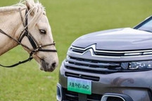 神龙汽车CEO变动 或与销量不佳有关