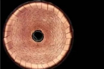 续航涨54%、成本降56%：特斯拉五大电池科技揭秘