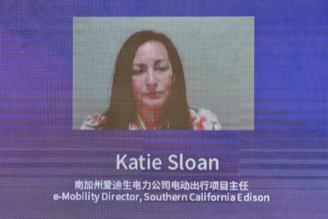 政策，汽车电气化