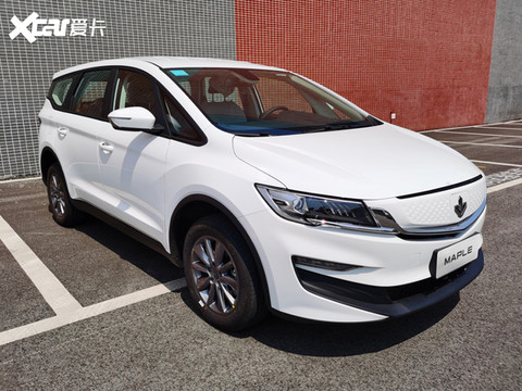 枫叶80V