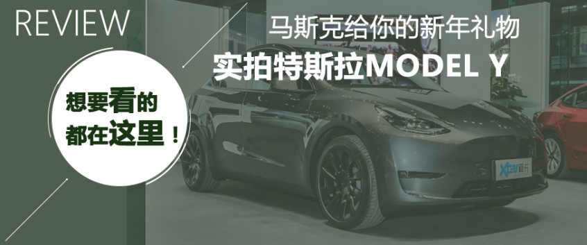 Model 3实拍