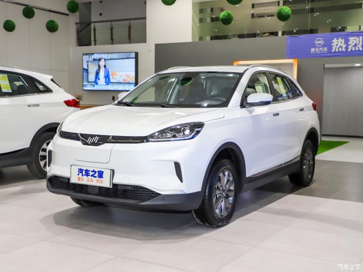威馬汽車(chē) 威馬EX5 2020款 EX5 400 即客行版