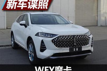 或叫摩卡 WEY这款全新SUV和VV7差不多大