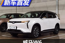 拥有自动泊车 威马汽车W6正式量产下线
