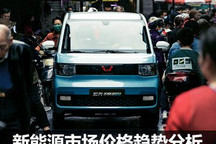 誰中流砥柱？ 新能源市場價(jià)格趨勢分析