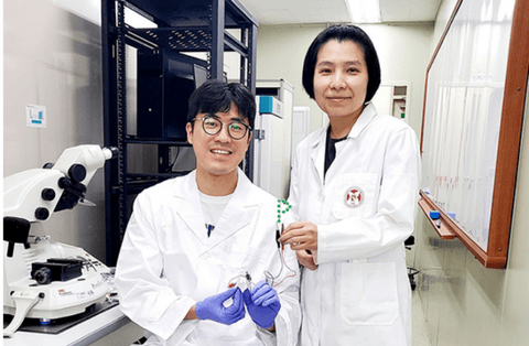 电池,浦项理工大学,锂硫电池,柔性电池,反硫化法 电池,浦项理工大学,锂硫电池,柔性电池,反硫化法