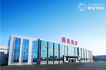 骆驼蓄电池再获大众BMG认可 新增高端车型原厂配套资格