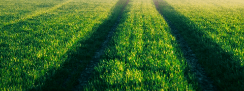 电池,Northvolt,Cinis Fertilizer,电池废料,肥料,可持续性肥料 电池,Northvolt,Cinis Fertilizer,电池废料,肥料,可持续性肥料