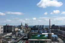 赣锋锂业获特斯拉长单 新单或暗藏直供玄机