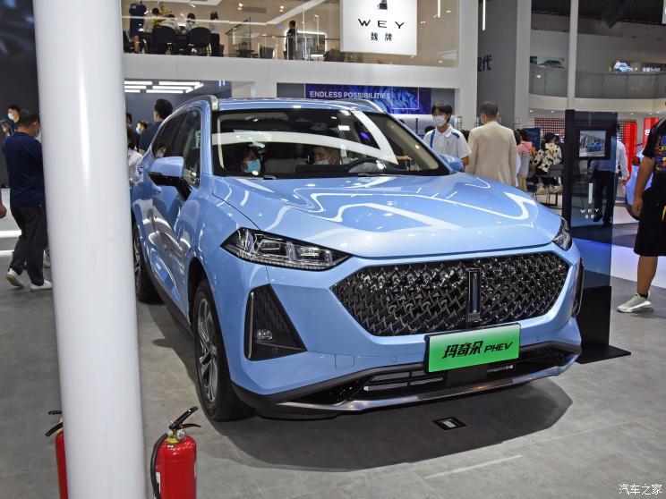 長(zhǎng)城汽車 瑪奇朵新能源 2021款 基本型