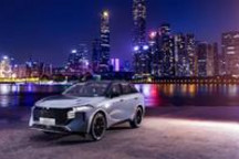 抓住年轻人 启辰大V拿捏未来发展