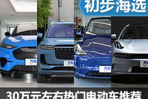 不拘泥于傳統(tǒng) 30萬元熱門電動(dòng)車推薦